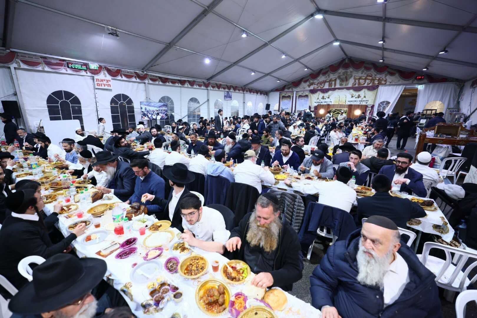 גלריית מירון 34